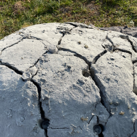 BETONAMIT&amp;#174; | 20 kg (4 x 5 kg)